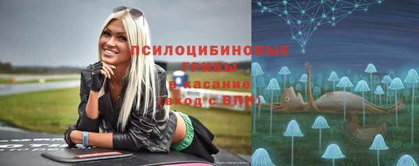 герыч Верхний Тагил